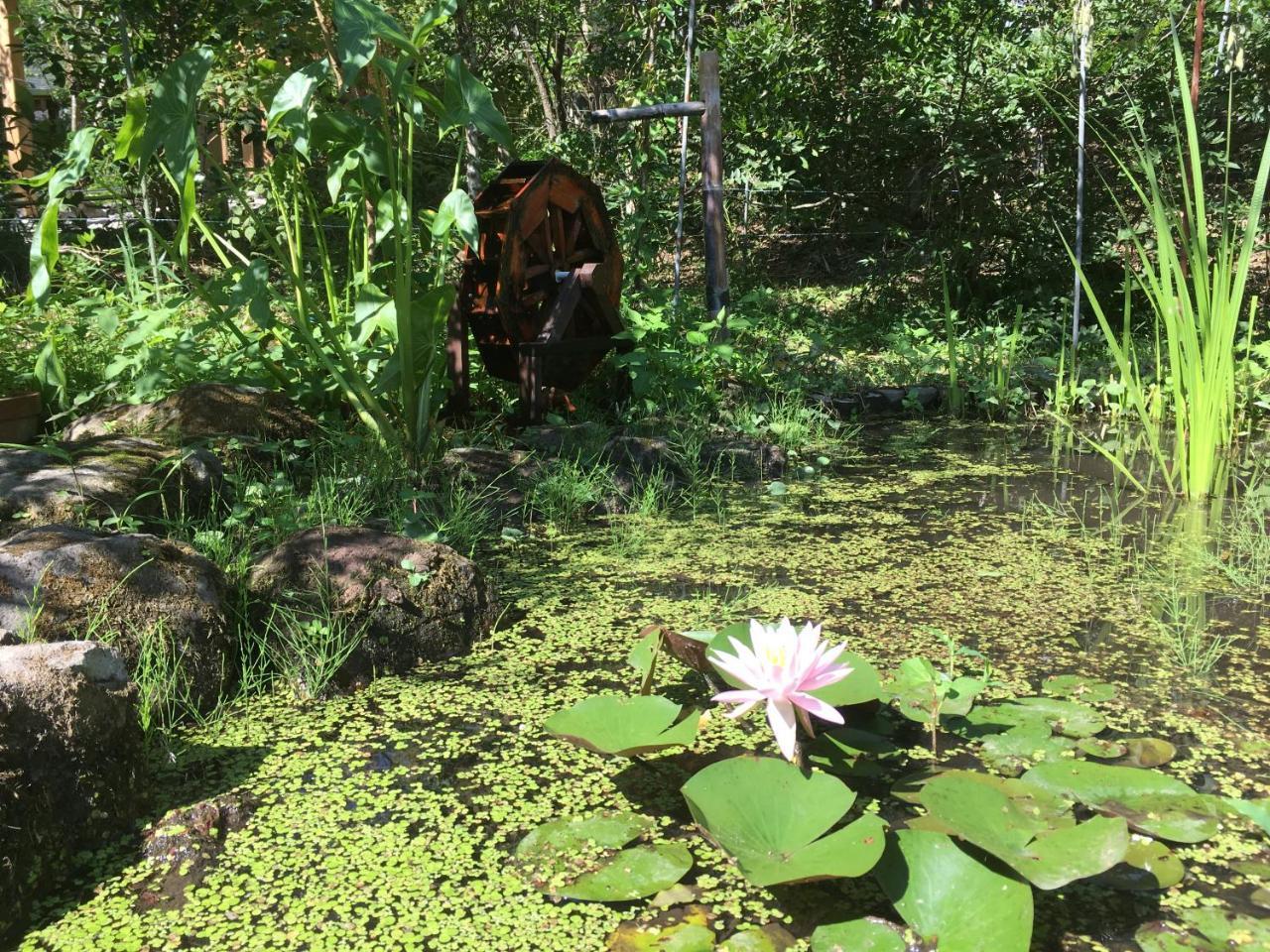 山荘 紗羅樹 Syaranoki Hotel Jufu Kültér fotó